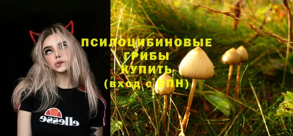 стаф Алексеевка