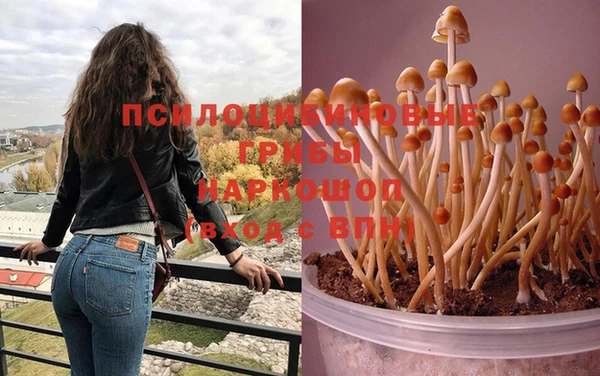 стаф Белоозёрский